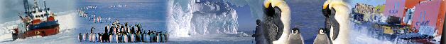 L'Antarctique