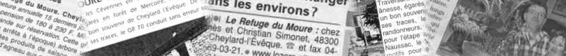Un aperçu des articles de presse