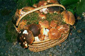 Les couleurs d'automne, Loz�re