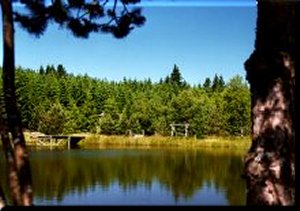 The pond of l'Auradou