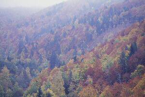 Les couleurs d'automne, Loz�re