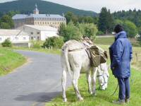 L'Abbaye Notre-Dame des Neige, pr�s La Bastide Saint-Laurent, Loz�re