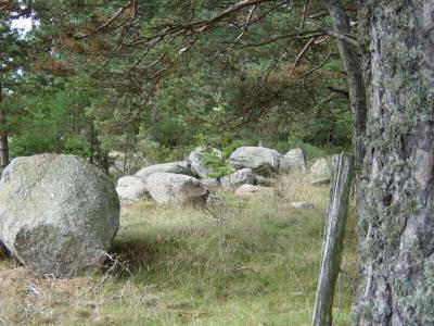 Paysage de Margeride (Lozère)