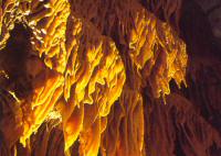 La Grotte de Dargilan, Meyrueis, Lozère